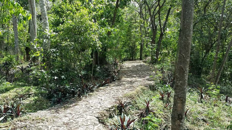 Santo Domingo: Natural Treasures of the City - Who should book this experience?
