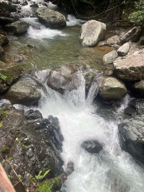 Santo Domingo: Paradisiac Waterfall & Lunch Cooked Over Wood - Who will get the most from this experience
