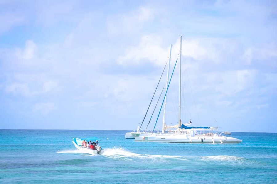 Santo Domingo: Saona Island Cataraman Food And Drink - Who will enjoy this Saona day trip?