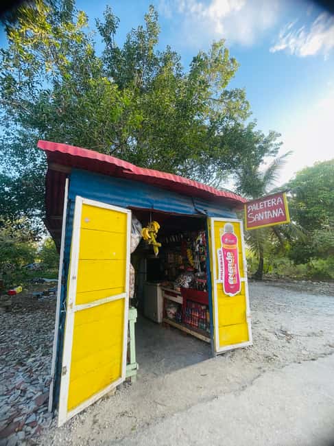Santo Domingo: Saona Island Day Trip with Lunch & Drinks - What the guide and staff add to the day