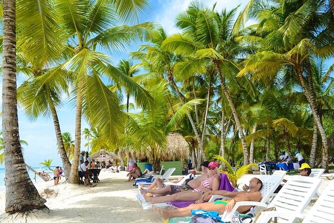 Saona Bayahibe Island Day Trip - Transportation, pickup, and the 9:30 start