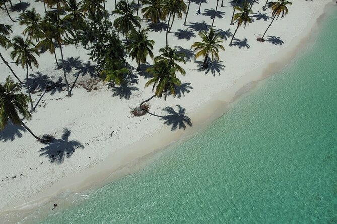 Saona by Speedboat: Private Beach & Snorkeling – Small Group - Snorkeling in the Cotubanamá Nature Reserve