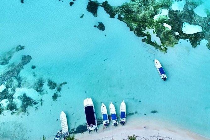 Saona by Speedboat: Private Beach & Snorkeling – Small Group - Dominican lunch and what costs extra