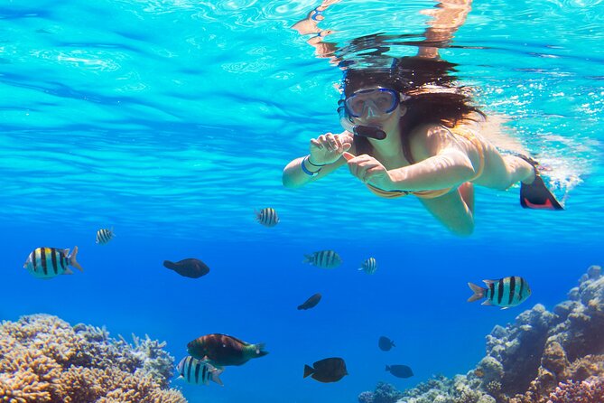Saona by Speedboat: Private Beach & Snorkeling – Small Group - Starting early from Bayahibe