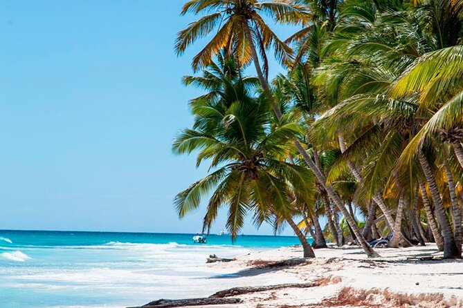 Saona Catamaran Cruise with Lunch and Natural Swimming Pool - Bayahibe Port Sets the Tone for the Boat Ride