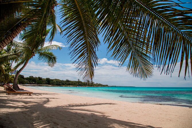 Saona Catamaran Cruise with Lunch and Natural Swimming Pool - The Return Trip Can Change the Character of the Day
