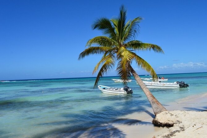 Saona Catamaran Cruise with Lunch and Natural Swimming Pool - Palmilla Natural Pool Is Often the Best Water Stop