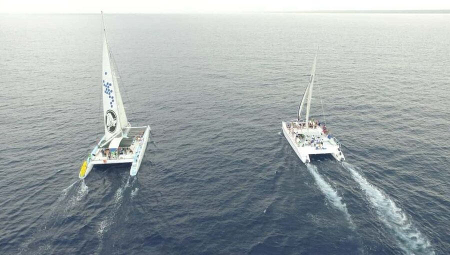 Saona Island all day with lunch and open bar departing from Punta Cana - Three hours on Saona Island
