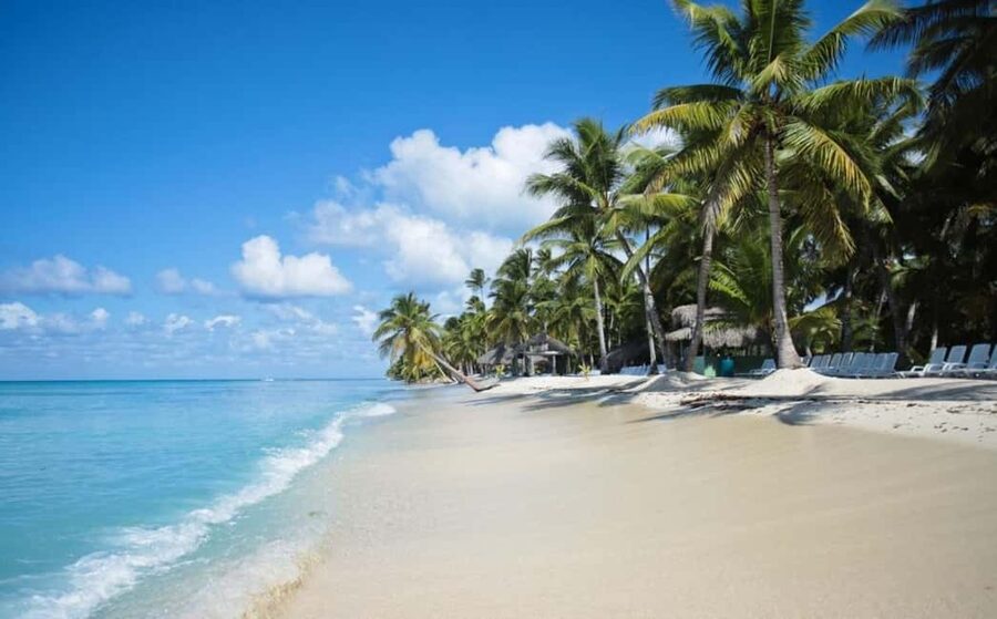 Saona Island all day with lunch and open bar departing from Punta Cana - Lunch, rum, and what all-inclusive means here