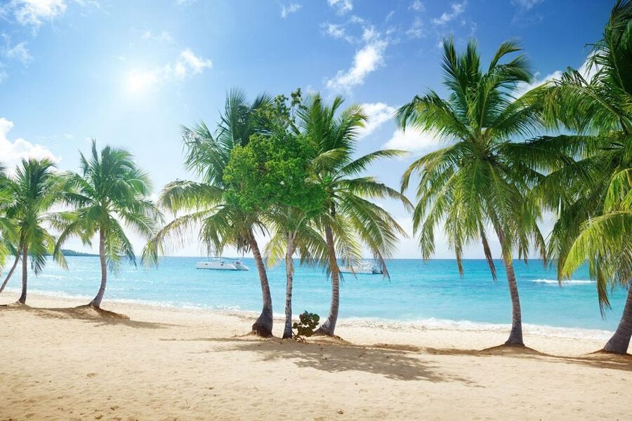 Saona Island All Inclusive Tour - Saona Island delivers the main postcard view