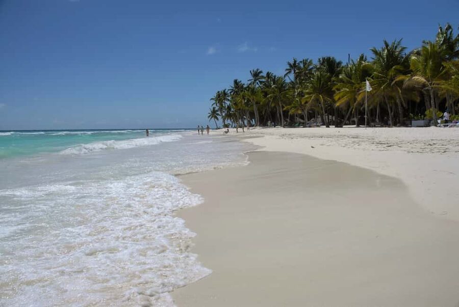 Saona Island: Beach & Natural Pool Small-Group Tour w/ Lunch - What the $110 price really covers