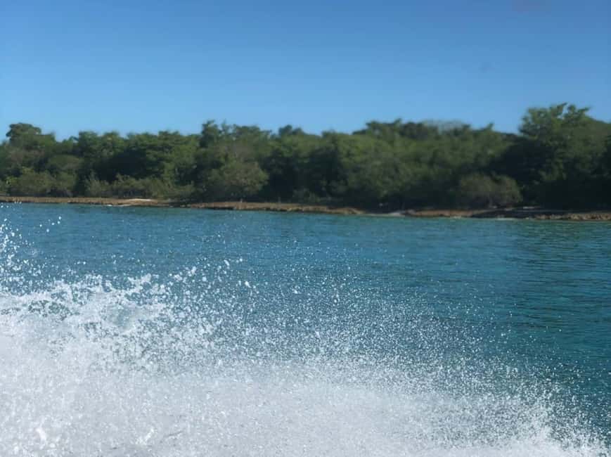Saona Island: Beach & Natural Pool Small-Group Tour w/ Lunch - Timing, comfort, and what to pack