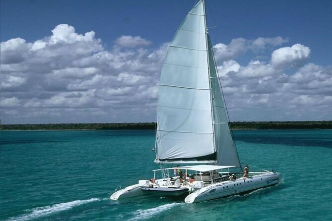 Saona Island Catamaran Adventure with Free Food and Transportation - Key points to know before booking