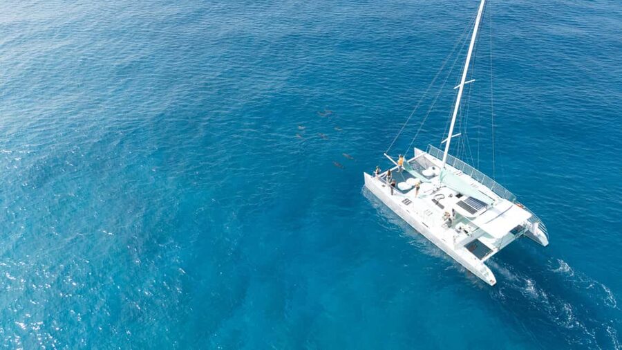 Saona Island: Catamaran Excursion with Lunch and Drinks - Who will enjoy this most?