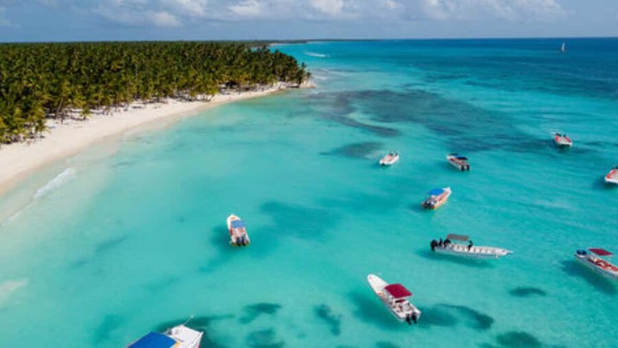 Saona Island: Catamaran Excursion with Lunch and Drinks - Booking advice for a smoother day
