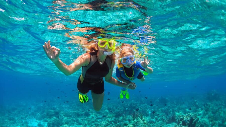 Saona Island: Catamaran Excursion with Lunch and Drinks - Should you book the Saona Island catamaran trip?