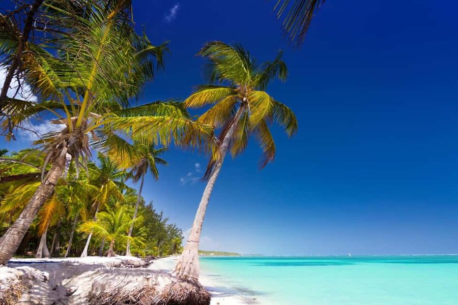 Saona Island: Catamaran/Speedboat Tour to a Dream Beach - What to bring and what to watch