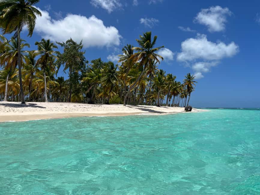 Saona Island Day for Marella Discovery (La Romana Port) - Dominican lunch with beer, rum, and soft drinks