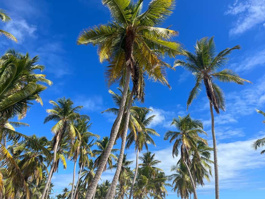 Saona Island Day for Marella Discovery (La Romana Port) - Snorkeling at Canto de la Playa