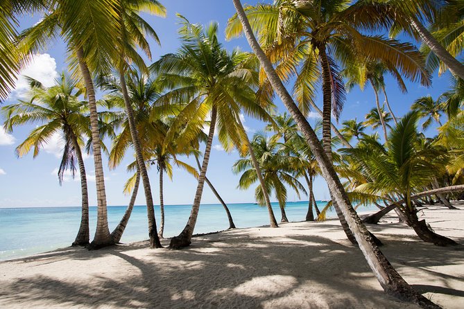 Saona Island Day Trip From Punta Cana with Lunch and Open Bar - Key points to know before booking