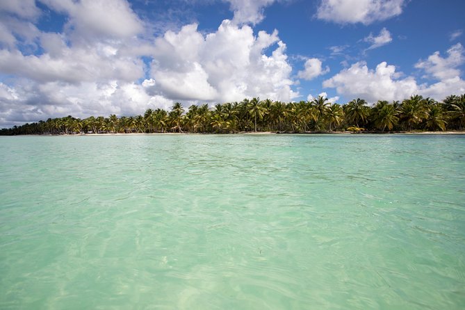 Saona Island Day Trip From Punta Cana with Lunch and Open Bar - Buffet lunch and the included drinks