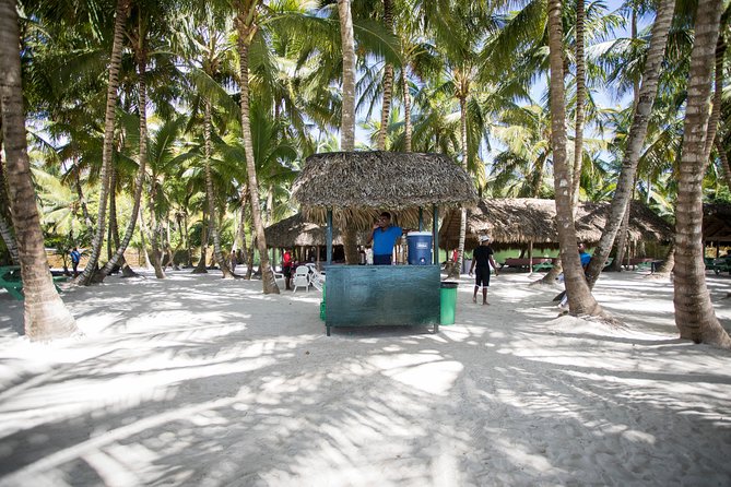 Saona Island Day Trip From Punta Cana with Lunch and Open Bar - The catamaran ride back to shore