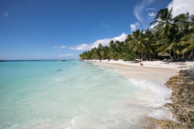 Saona Island Day Trip From Punta Cana with Lunch and Open Bar - What $82 gets you