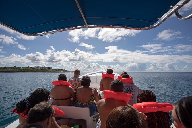 Saona Island Day Trip From Punta Cana with Lunch and Open Bar - Who will enjoy this Saona day trip