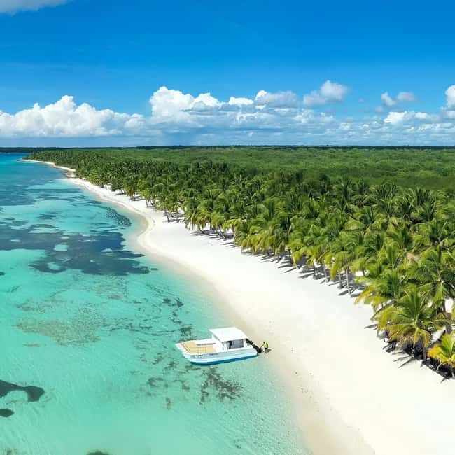 Saona Island Day Trip + Lunch + Open Bar from Punta Cana - Key points to know before booking