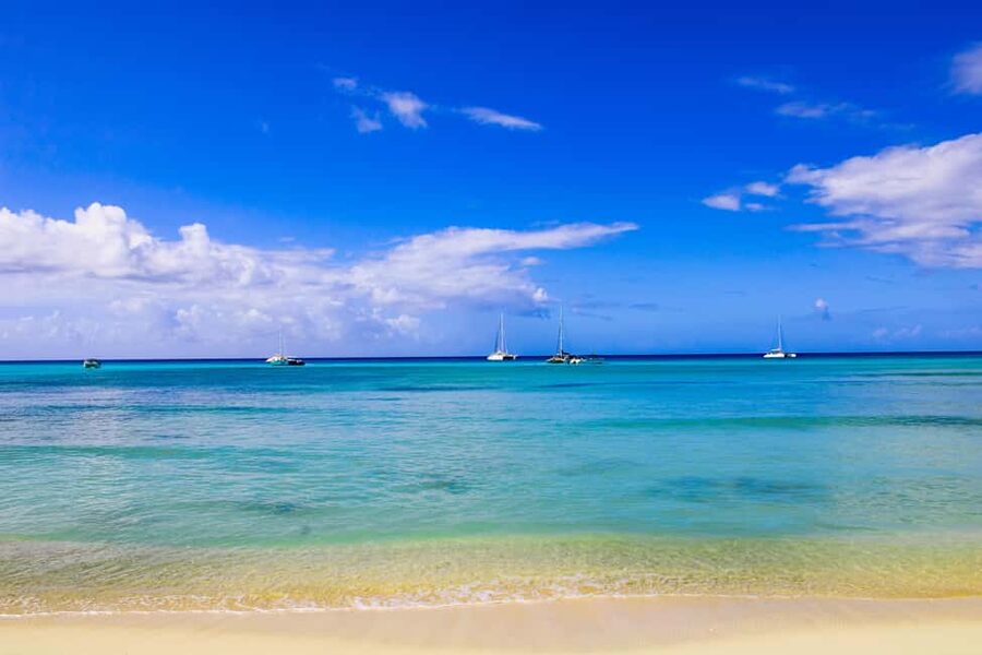 Saona Island Day Trip + Lunch + Open Bar from Punta Cana - Cotubanamá National Park and the natural pool