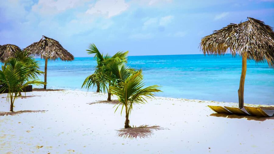 Saona Island Day Trip + Lunch + Open Bar from Punta Cana - Saona Island: about two hours and 45 minutes on the beach