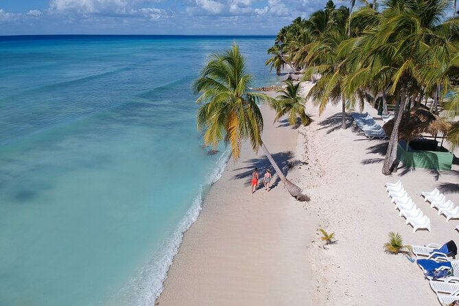 Saona Island Discovery - Key points to know before you book