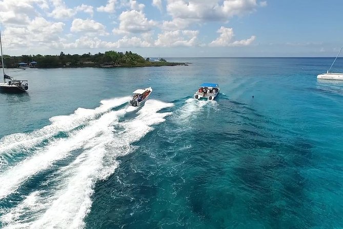 Saona Island Excursion by Catamaran and Speedboat - Three hours on Saona Island