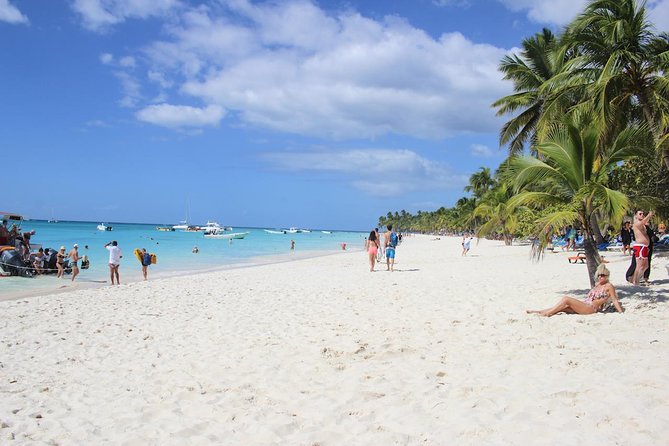 Saona Island Excursion from Bayahibe - The natural pool is the most distinctive stop