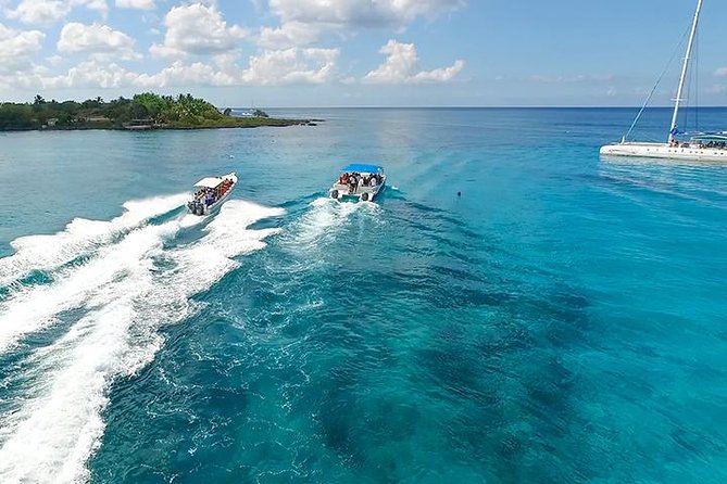 Saona Island Excursion from Bayahibe - Lunch is plentiful, with mixed expectations