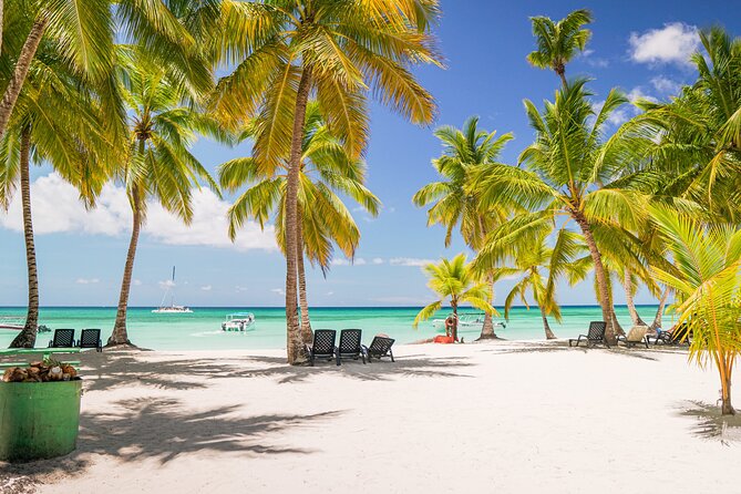 Saona Island Excursion from Bayahibe - Pickup and timing require patience