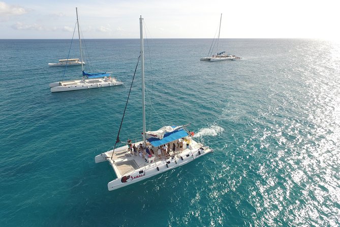 Saona Island Excursion From Punta Cana - Key points to know before booking