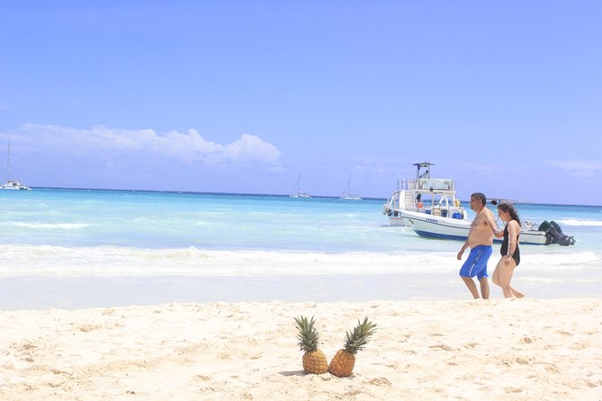 Saona Island Excursion From Punta Cana - Starting before breakfast in Punta Cana