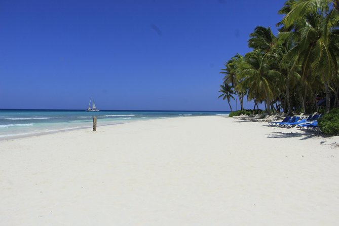Saona Island Excursion From Punta Cana - The catamaran return: music over silence