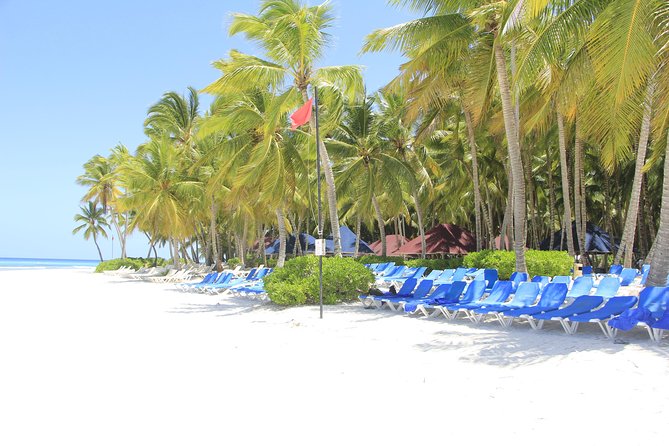 Saona Island Excursion From Punta Cana - Why guide quality makes a difference
