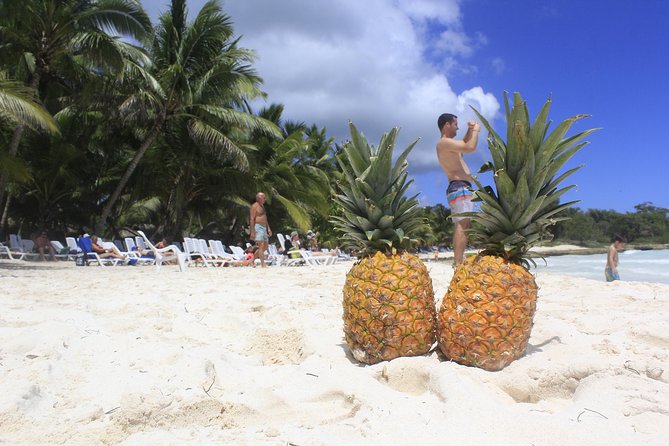 Saona Island Excursion From Punta Cana - The price and what you really receive