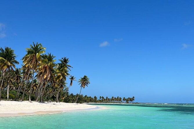 Saona Island for Marella Discovery Passengers from La Romana Port - Key points to know before booking