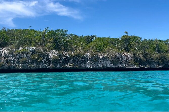 Saona Island for Marella Discovery Passengers from La Romana Port - Why this Saona route is different