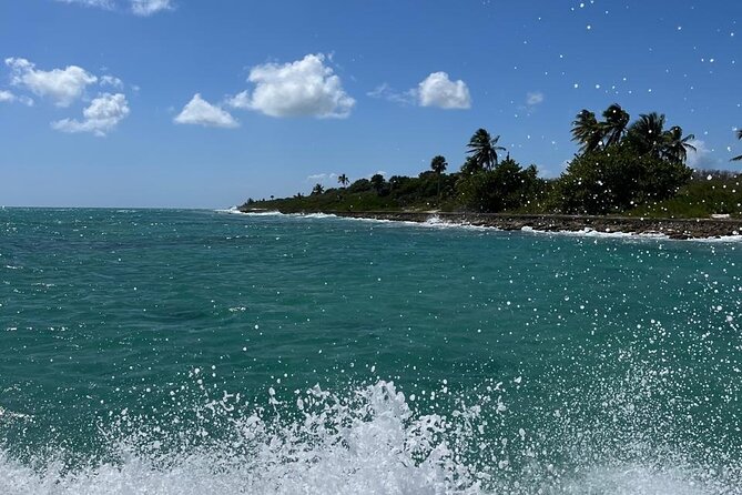 Saona Island for Marella Discovery Passengers from La Romana Port - The Penon and Catuano mangroves