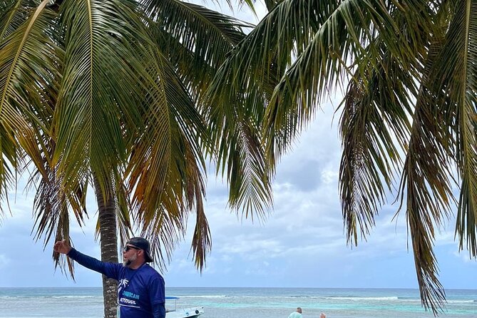 Saona Island for Marella Discovery Passengers from La Romana Port - The natural pool and starfish viewing