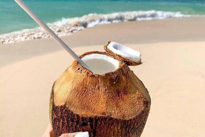Saona island From Bayahibe - Start at the Port - Lunch, drinks, and snorkeling included