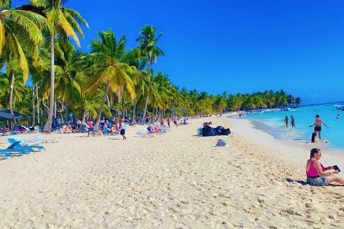 Saona Island from Punta Cana - Key points to know before booking
