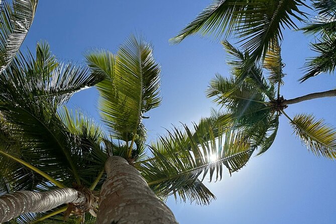 Saona Island from Punta Cana - Who will enjoy this Saona day most?
