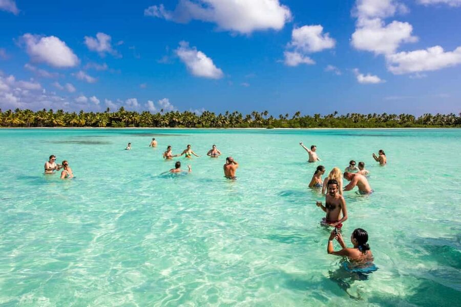 Saona Island from Punta Cana Day Trip with Open Bar - Swimming at the Natural Pools