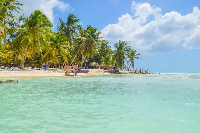 Saona Island Full-Day All-Inclusive Tour from Santo Domingo - Three hours on Saona Island